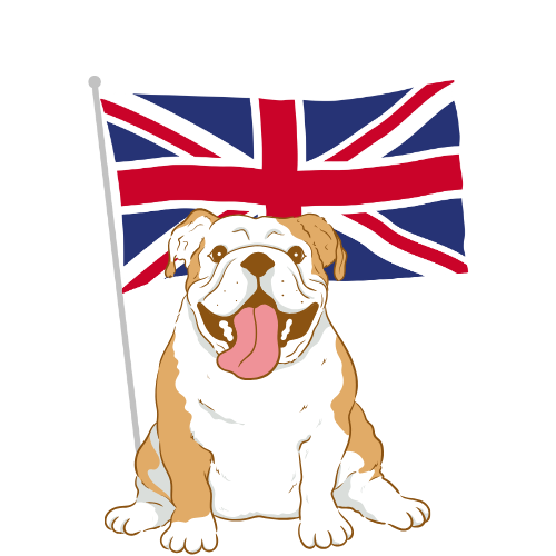 2025_actu_conv_ang_transparent